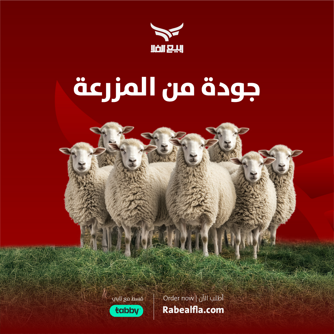 تصاميم سوشيال ميديا — صورة 3