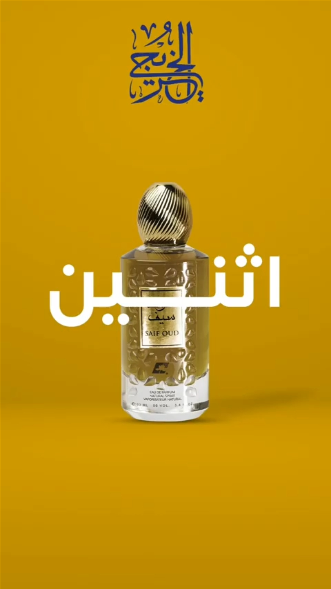 تصميم وإنتاج فيديو — صورة 2